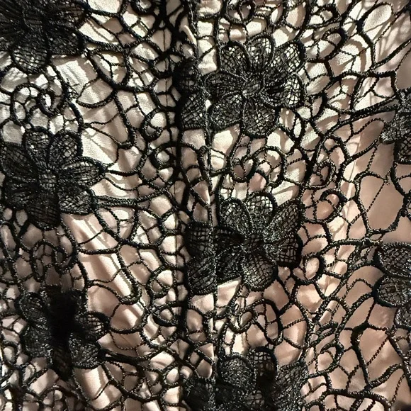 Bettie Page by Tatyana Elegant Lace Overlay Dress in Black and Beige - Picture 7 of 8